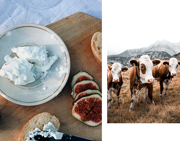 La nostra forza è la perfezione del gusto